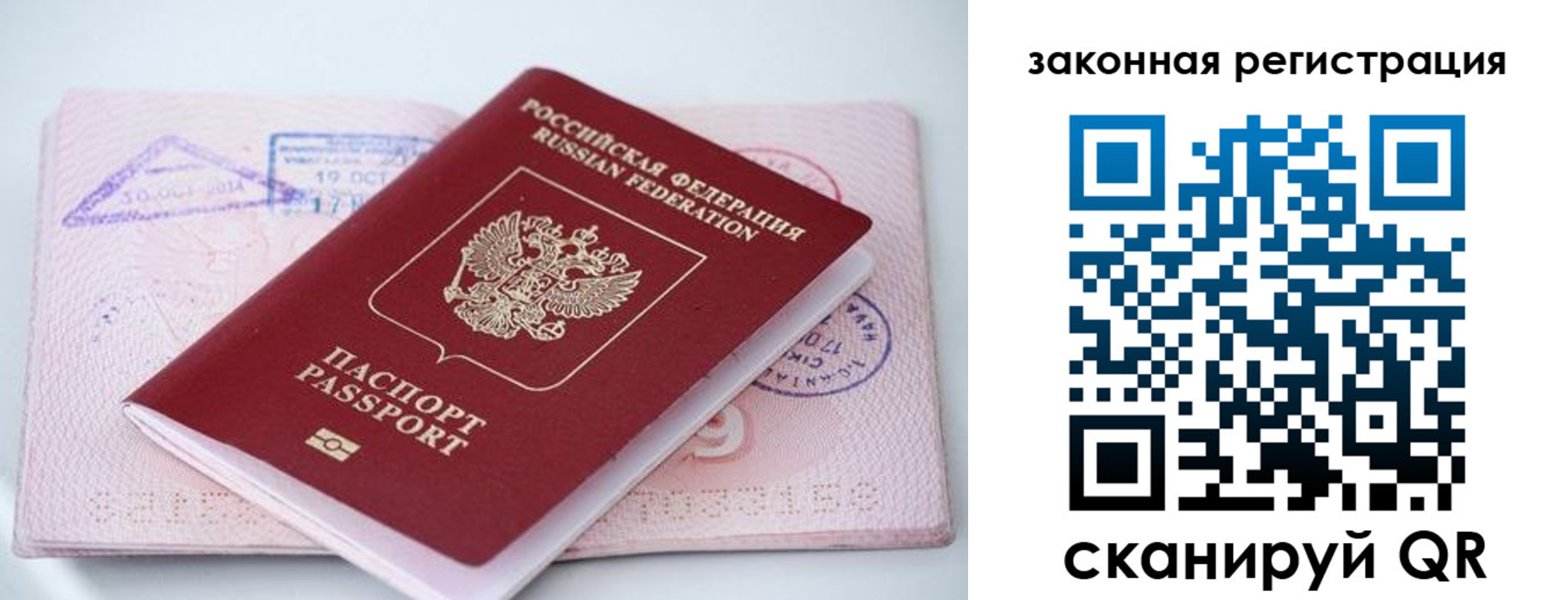 прописка в квартире в Мытищах
